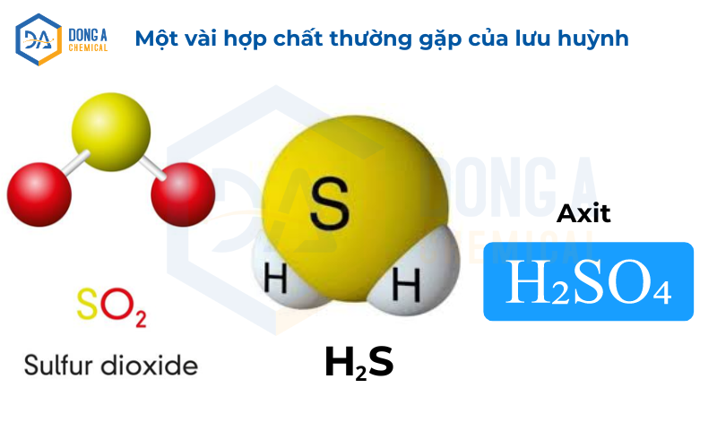 Một vài hợp chất thường gặp của lưu huỳnh